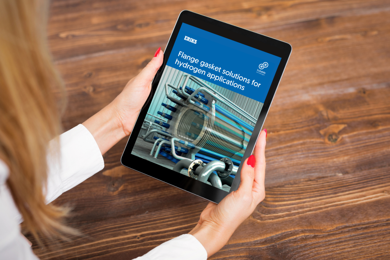 Newsletter-Image - 8 Case Study H2 Gaskets brochure